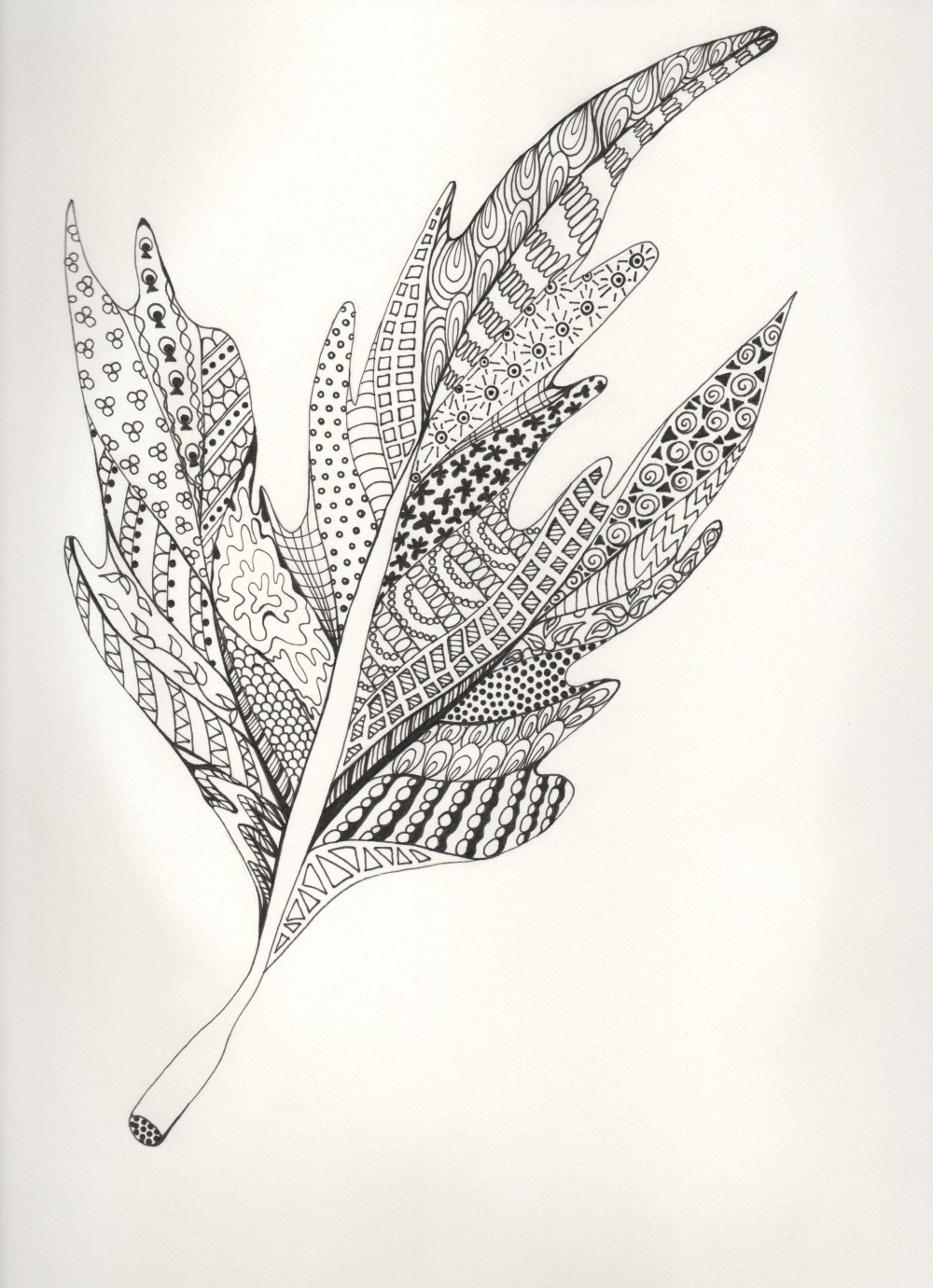 zentangle_leaf_5